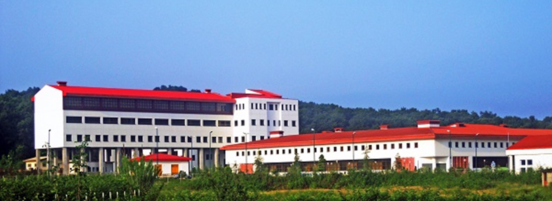 دانشکده دندانپزشکی