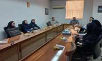 برگزاری پنجمین جلسه شورای پژوهشی دانشکده دندانپزشکی در سال جاری