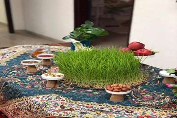 بخش ارتودنسی