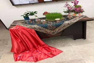 بخش ارتودنسی