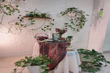 بخش جراحی دهان و فک و صورت