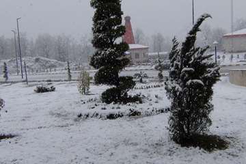 یک روز برفی در دانشکده دندانپزشکی رشت